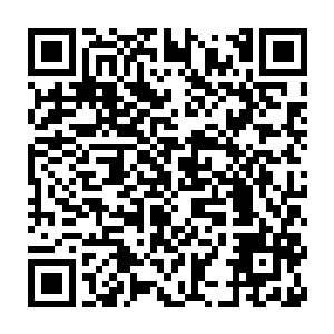 蚊血煞对于这那滴已经被楚旬纳入神国的精血依旧有着强大的掌控能力二维码生成