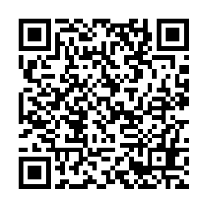 蚩家魔族的绝大多数战魔还没意识到发生了什么事情二维码生成