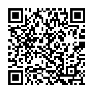 蚩尤和姬无相对他讳莫如深的一套言辞很是迷惑二维码生成