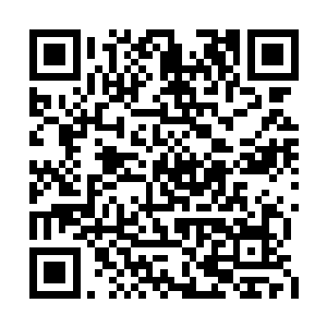 蚩骨打当然没有头脑发昏到想去捕捉朱雀的地步二维码生成