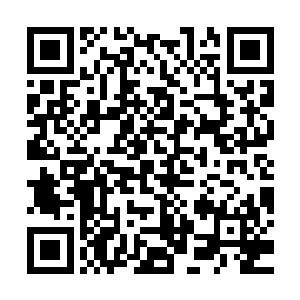 蛇君正准备催动毒蛇给方炎致命一击的时候遇到了天机子的袭击二维码生成