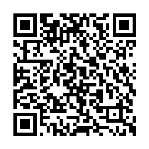 蛇哥等人闻言纷纷扭头朝怒喝声传来的方向望去二维码生成