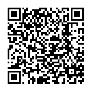 蛇哥见自家在香港地下势力说起来也有不小威名的老大到了杨爷的口中二维码生成