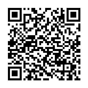 蛇圣同样没想到会被一头刚刚封圣不久的负岳吓到二维码生成