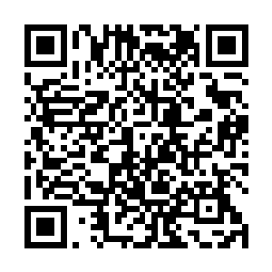 蛇头一闪就缠上了一个在汽车灯光下扭动着身子的妹仔二维码生成