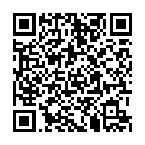 蛇怪的行动就受到了极大的限制――一旦他想动二维码生成