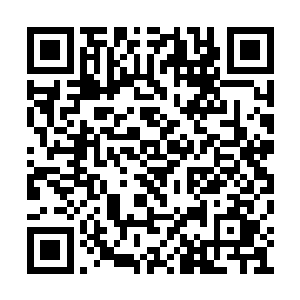 蛇霖此时还完全的沉浸地天道所给予的震撼之中二维码生成