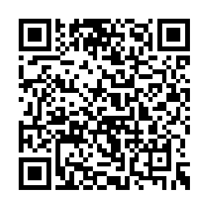 蛊仙们又谈论到天庭停止派发仙元石的事情上来二维码生成