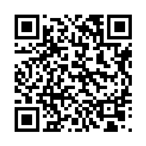 蛋圆圆不得不把开课的事情提上议程二维码生成