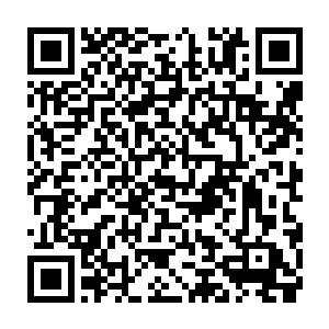 蛋圆圆乐呵呵的把格斗楼的考试过程以及自己整理出来的通关技巧说了一遍二维码生成