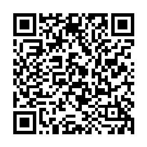 蛋圆圆仪态悠然坐在路边等待众机甲七嘴八舌的吵架二维码生成