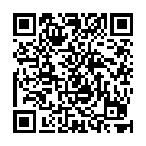 蛋圆圆使出吃奶的劲一个人搬出一个半人高的巨大培养箱二维码生成