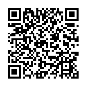 蛋圆圆借助她的力量往后空翻从夹心饼干的中间位置跃起二维码生成