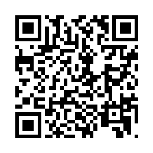 蛋圆圆准备等冲击力结束了再飞回去二维码生成