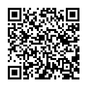 蛋圆圆在开启界面上输入了长达四十八位数字的密码之后二维码生成