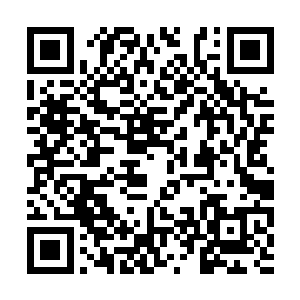 蛋圆圆在材料店买了五种星瞳升级需要的普通金属二维码生成