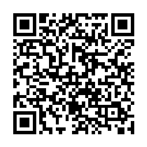 蛋圆圆在观众席上发现她没能给景初做任何战后指导时二维码生成