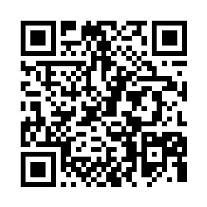 蛋圆圆对现在无师自通的星瞳太无奈了二维码生成