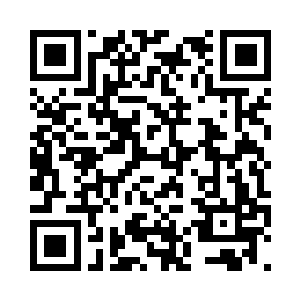 蛋圆圆把切换好的副武器蜂巢对准它二维码生成