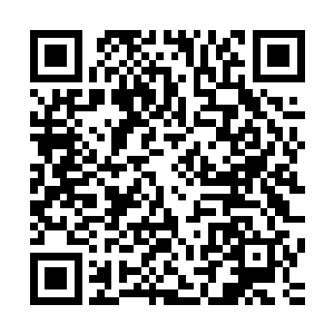 蛋圆圆拿到初级解剖助手的资格证喜滋滋地从考核厅里走出来二维码生成