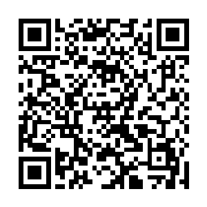 蛋圆圆明显感觉得到大堂上对唐凌的窥视视线多了起来二维码生成