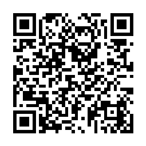 蛋圆圆更是让人无法把她和前一天在舞台上优雅弹琴的二维码生成