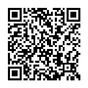 蛋圆圆根据他们的训练成果以及视讯记录的表现二维码生成