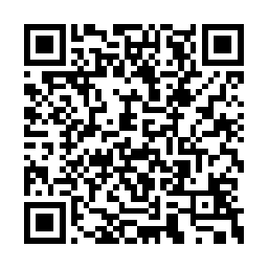 蛋圆圆的步行比前一天走得比前一天漂亮了很多二维码生成