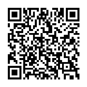 蛋圆圆的狙击枪和蜂巢在水底都会有一定的阻力二维码生成