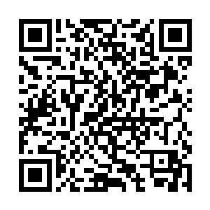 蛋圆圆的精神力输出水平在一次次的训练当中达到了二维码生成