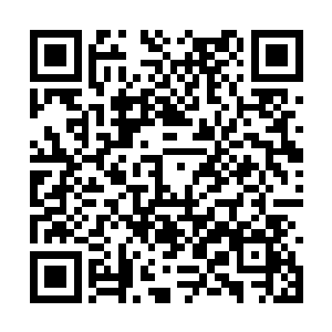 蛋圆圆眉开眼笑地看着战队账户里不断上升的金额二维码生成