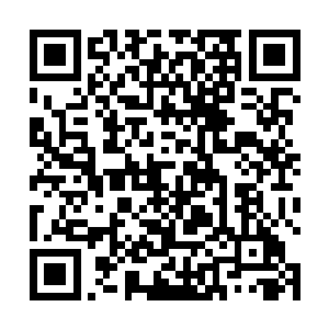 蛋圆圆知道他们可信之后就把他们一家当成自己人看了二维码生成