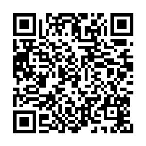 蛋圆圆知道他是在使用万里有蛋教授的吐纳方法二维码生成