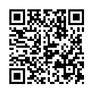 蛋圆圆精准地抓住了他话语中的关键字二维码生成