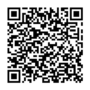 蛋圆圆闭门在年终盘点的赛场连续打了三天感觉众人应该转移注意力了二维码生成