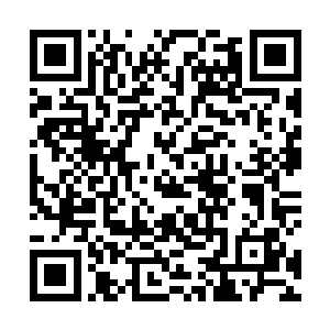 蛛帝和月光白魔鬼那边难道就准备坐视狼王吞掉南青城二维码生成