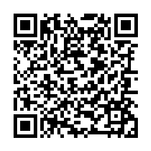 蛟蛇虽然不知道为什么原本的黑骷髅突然变得如此强大二维码生成
