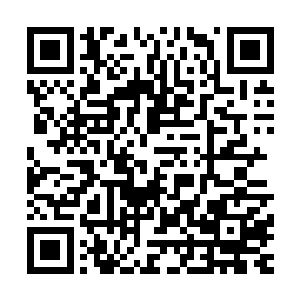 蛮武士本来也是人类强者研究野蛮人的身体构造以及锻炼方式二维码生成