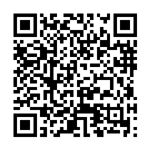 蛮苍现在的元神比起真正的主神都绝对是只强不弱二维码生成