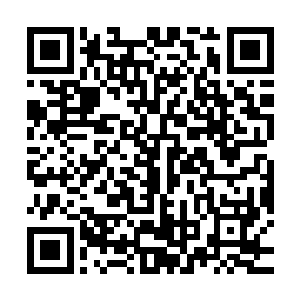 蛮荒圣殿在蛮苍一缕残魂手中发挥出来的威力都比杨戬厉害的多二维码生成