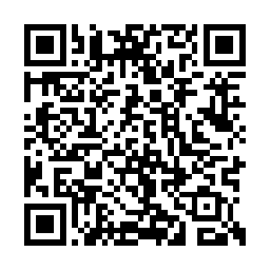 蛮荒大陆这么偏僻的地方怎么会诞生这么多天才二维码生成