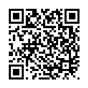 蜂巢发射器……这些更高维度的武器二维码生成