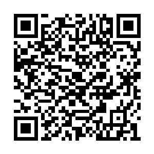 蜂拥而出追赶的小家伙目前还追不上黑炭的速度二维码生成