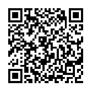 蜂拥而来的风蛇在这巨大手掌下成片成片的死去二维码生成