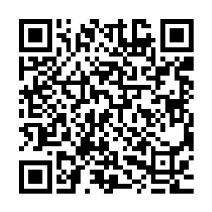 蜘蛛之身凝聚出来的利爪拥有着可怕至极的伤害能力和腐蚀能力二维码生成