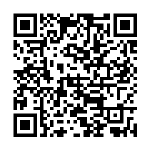 蜘蛛女皇默认了黑暗龙神从她手里抢夺信徒的行为二维码生成