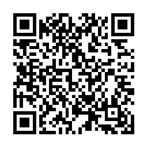 蜥蜴是根本不会笑的即便经受辐射变异的双头剧毒蜥蜴二维码生成
