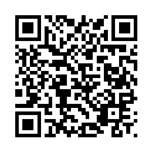 蝎子王和那个毒蝎子会一起动手的二维码生成