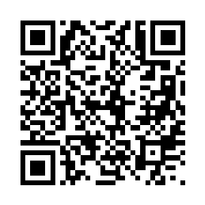 蝎子的外壳竟然可以反射法术的攻击二维码生成