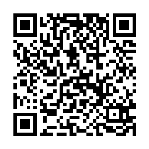 蝙蝠侠系列的投资就决定了这不能是任性妄为的cut片二维码生成